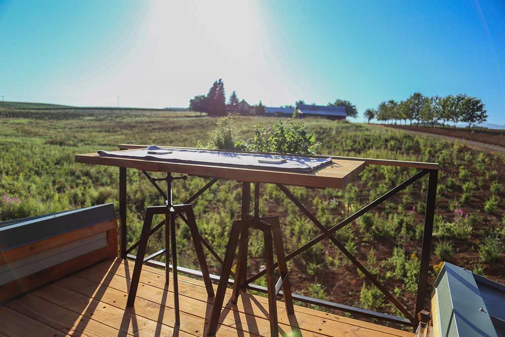 View of fields and forest from the rooftop deck of the Rustic Farmhouse custom tiny home